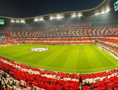 乒乓球赛场焦点！比利时队对阵法国队，连胜纪录继续刷新，球队势不可挡