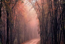 莱万多夫斯基在利物浦比赛中战术调整，绝杀引发热议！